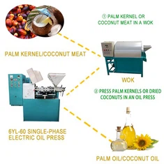 Mesin Press Kelapa Sawit